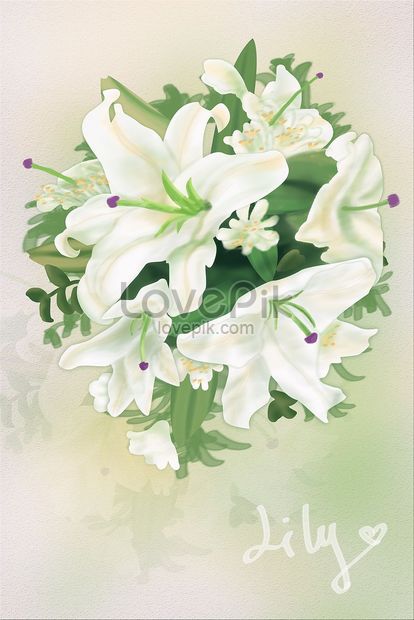 花植物ユリ スターフェスティバル バレンタインデーのブーケ 手描きイラストイメージ 図 Id Prf画像フォーマットjpg Jp Lovepik Com