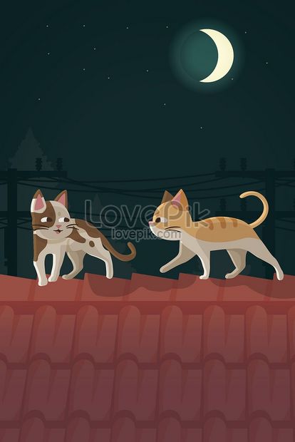 Cat on the roof of an animal night illustration image_picture free download  
