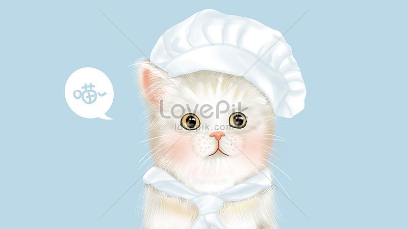 Cute Comel Kucing Haiwan Kesayangan Chef Tangan Yang Ditarik Ilu 