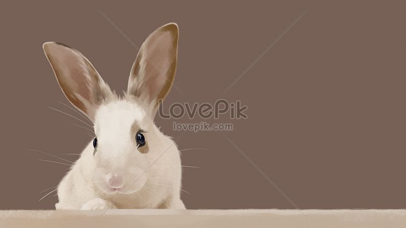 Premium Photo | Rabbit wallpapers that are free for your desktop