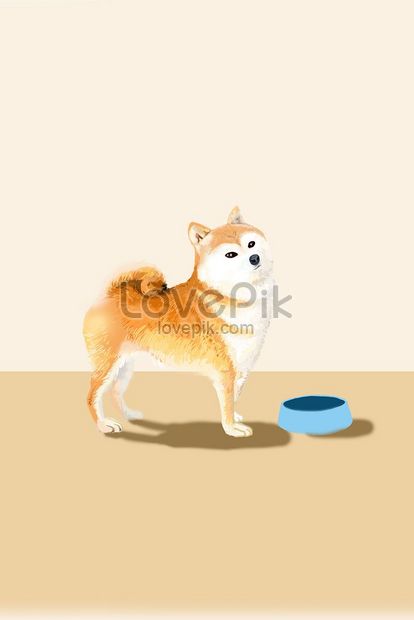 Chó Shiba Inu là một trong những giống chó đáng yêu và được yêu thích nhất hiện nay, bạn có muốn tìm hiểu thêm về chúng không? Hãy cùng xem những hình ảnh chó Shiba Inu dễ thương để đúng bị cuốn theo sự quyến rũ của chúng nhé!