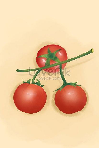 Vẽ cà chua: Vẽ cà chua thật đơn giản nhưng lại đem lại nhiều niềm vui và sáng tạo cho các bạn nhỏ. Click ngay vào hình ảnh liên quan để tìm hiểu cách vẽ cà chua một cách dễ dàng và thú vị!