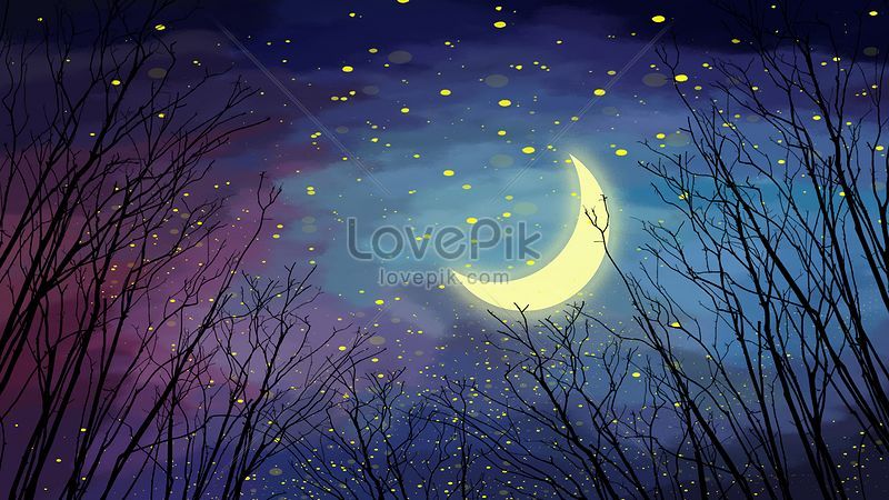 Mặt trăng và rừng đêm: Những hình ảnh mặt trăng và rừng đêm luôn mang lại cho chúng ta những cảm giác lãng mạn và bình yên. Hãy cùng lắng nghe tiếng rì rào của gió và những con động vật trong rừng cùng nhìn ngắm mặt trăng tròn trịa rọi sáng bầu trời đêm.