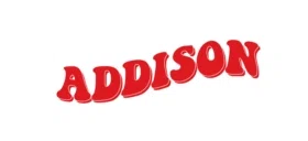 Addison Rae Merchandise Promo Codes & Coupons 2024_ lovepik.com