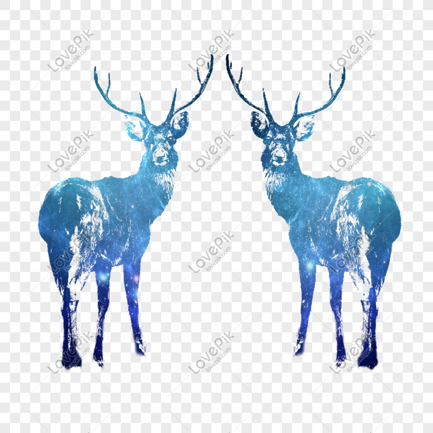 Venado Azul De Dibujos Animados Imagen Descargar Prf Graficos