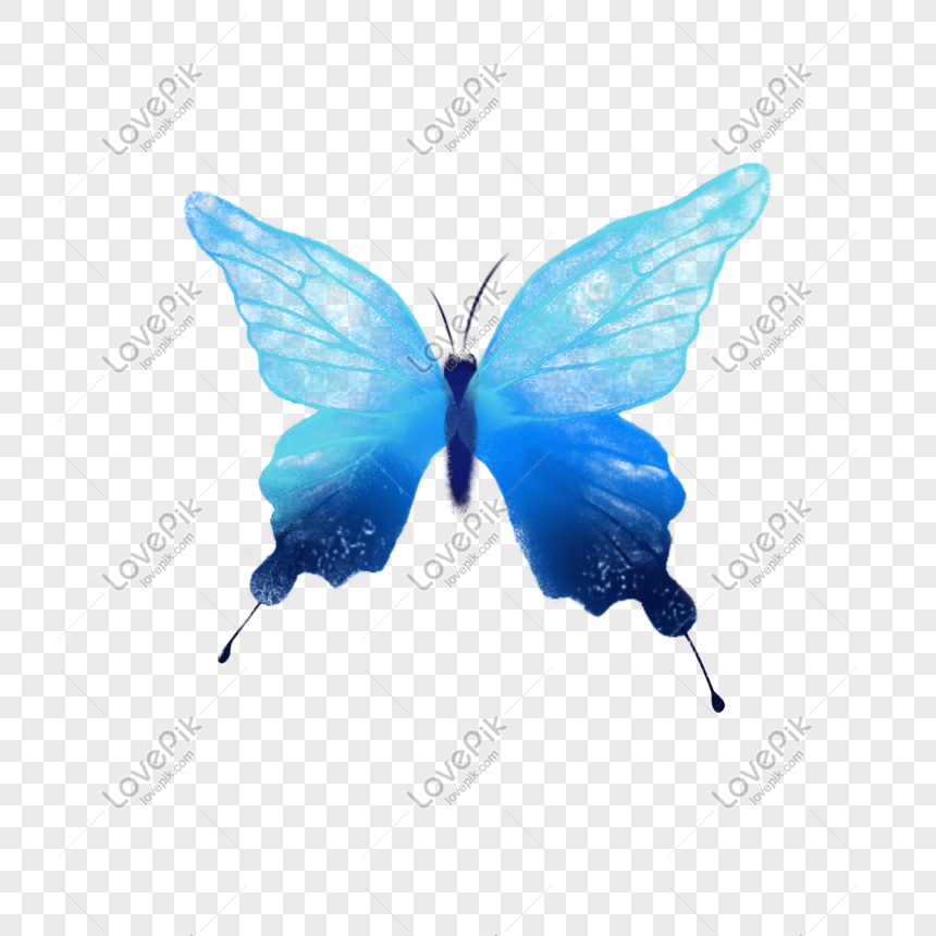 Alas De Mariposa Azul Claro PNG ,dibujos Alas De Viento, Alas, Mariposa PNG  y PSD para Descargar Gratis