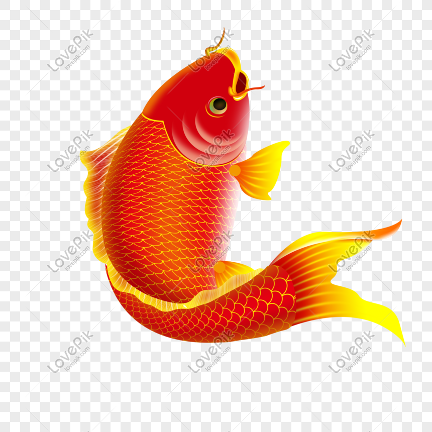 Streamer Cá Chép Nhật Bản Hình minh họa Sẵn có - Tải xuống Hình ảnh Ngay  bây giờ - Cờ hình cá chép, Hình minh họa, Cá chép - iStock
