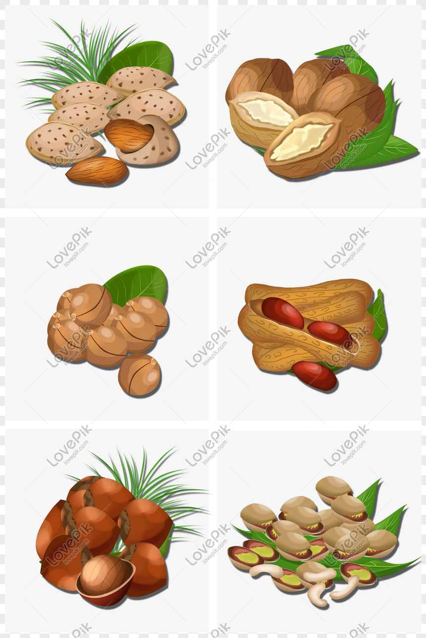 Hình ảnh Năm Mới Nuts Đồ ăn Nhẹ Trái Cây Khô Quà Tặng Vẽ Tay Minh ...