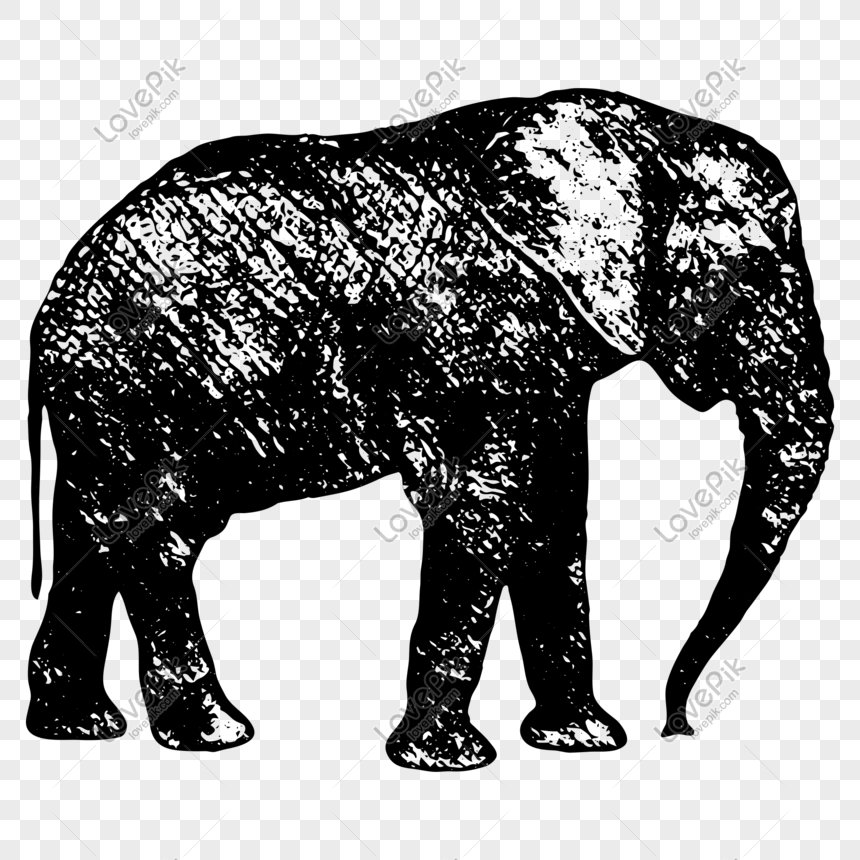 Gambar Gajah Hitam Putih / Gambar Kartun Gajah Gambar Mewarnai