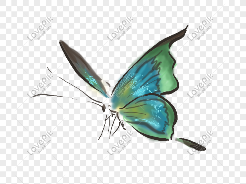 Vẽ tay con bướm xanh: Diễn tả sự khéo léo và tài năng vẽ của người trẻ khi vẽ tay con bướm xanh lung linh. Các đường nét tinh tế kết hợp với sắc màu tươi sáng sẽ khiến bạn không muốn bỏ qua hình ảnh này.