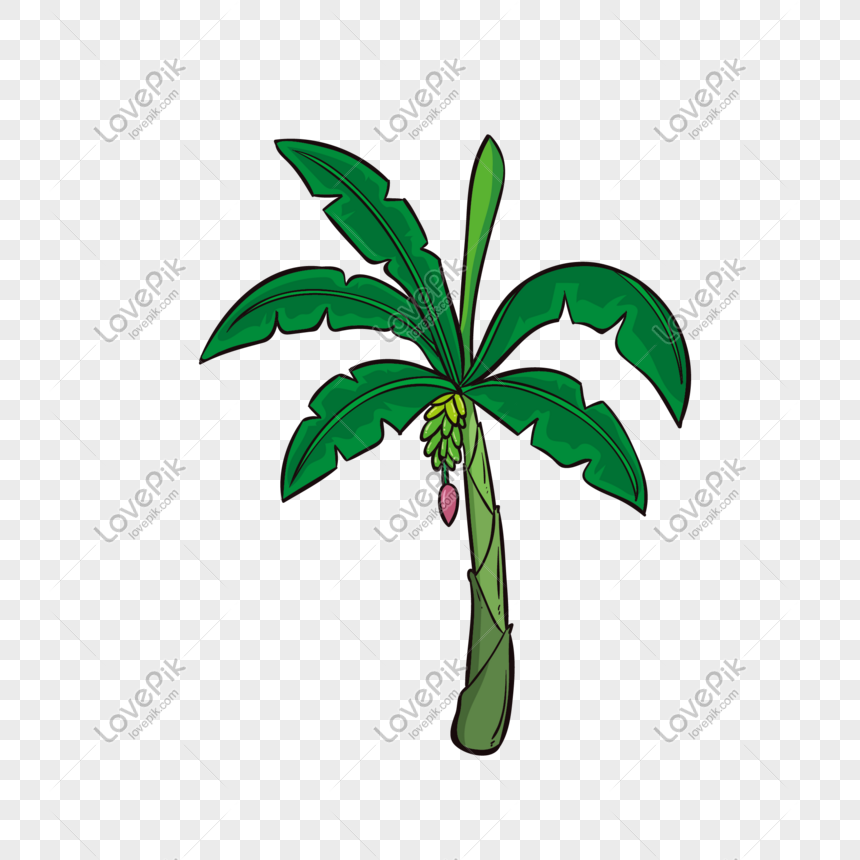 Vẽ cây dừa: Nghệ thuật vẽ cây dừa sẽ mang đến cho bạn không khí miền nhiệt đới trong ngôi nhà của mình. Họa sĩ bậc thầy của chúng tôi đã tạo ra một bức tranh đẹp trên giấy, với những ngọn cây dừa cao vút nổi bật trên nền trời và biển xanh. Hãy chào đón không gian xanh tươi mới vào cuộc sống thường ngày của bạn với bức tranh này!