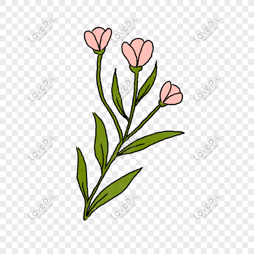Vẽ hoa hồng màu xanh lá cây: Màu xanh lá cây tươi mát luôn mang lại cảm giác dịu nhẹ và gần gũi với thiên nhiên. Nếu bạn đang muốn tìm cách vẽ hoa hồng với màu xanh lá cây, hãy đến với chúng tôi ngay. Chúng tôi sẽ cung cấp cho bạn các hình ảnh minh họa cụ thể, giúp bạn tạo ra một bức tranh đẹp tuyệt vời.