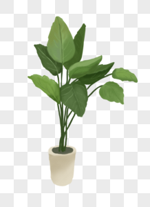 Plants PNG Images With Transparent Background | Free Download On Lovepik