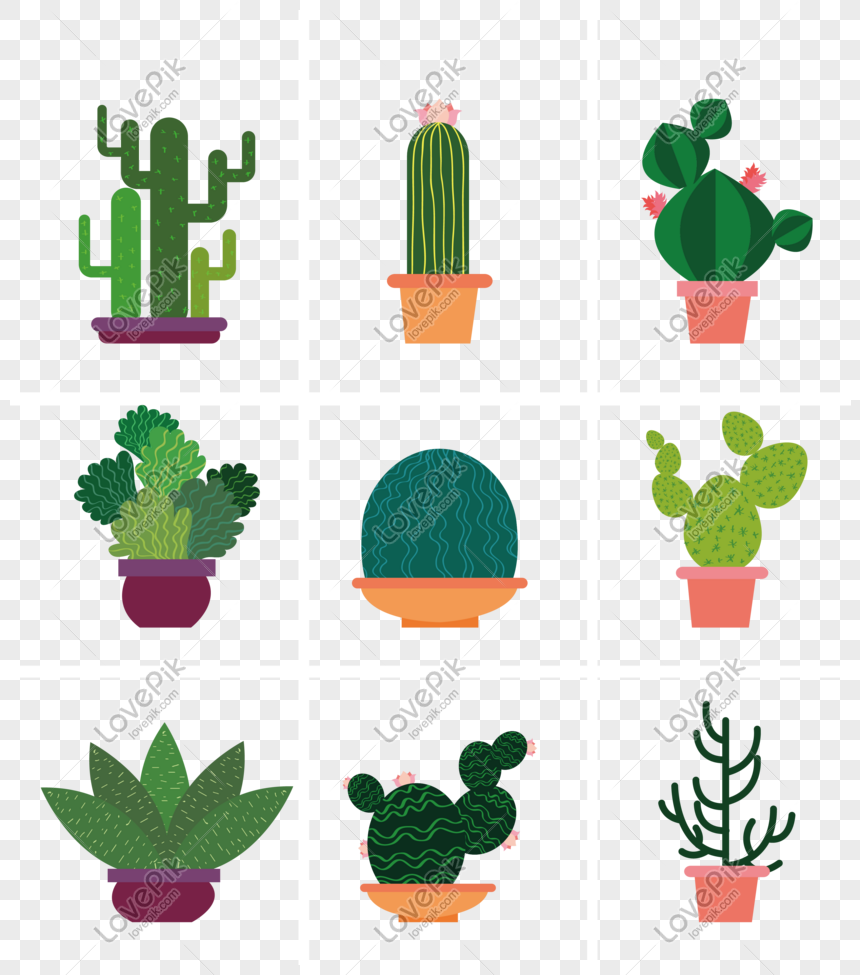 Hand Drawn Succulent Bonsai Free Vector Png Image Picture Free Download 610285068 Lovepik Com