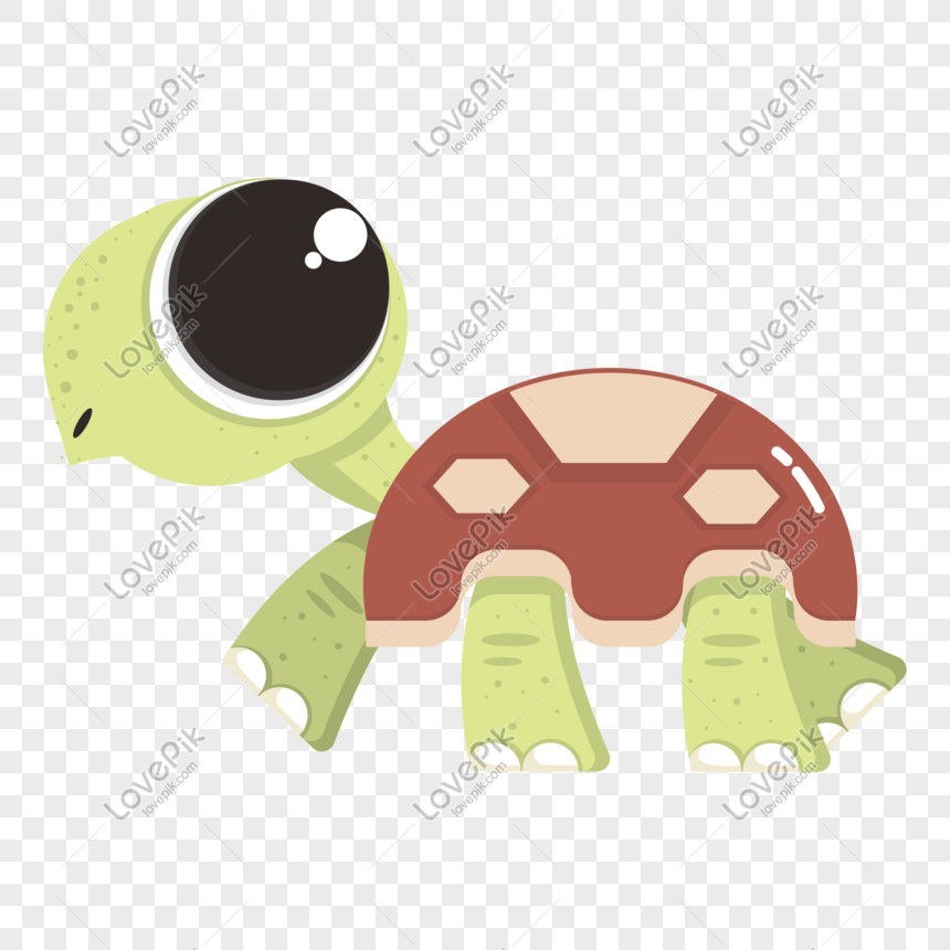 Cartoon Vector Big Eyed Turtle PNG Hd Transparent Image And Clipart ...