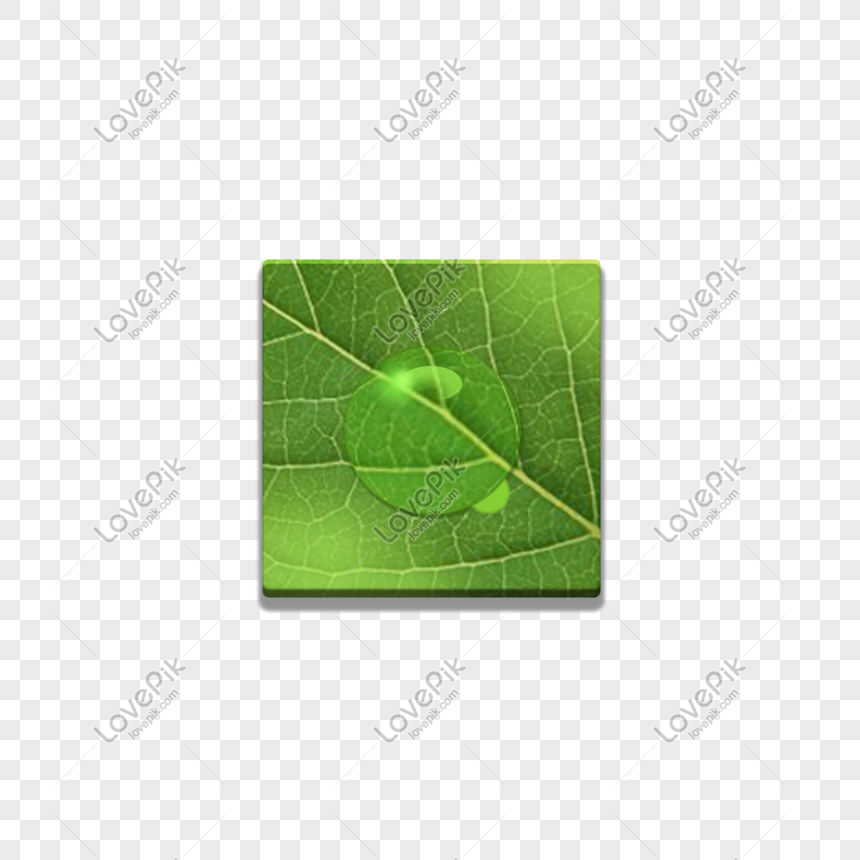 Green Leaf With Water Drops, Drop, Water Leaves, Material PNG Transparent  Background And Clipart Image For Free Download - Lovepik