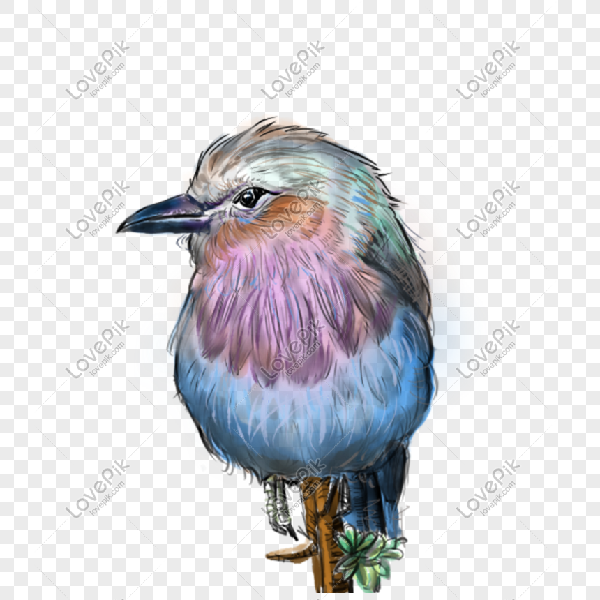 Small Bird Animal Bird Bird Bird Cartoon Bird PNG Image And Clipart Image  For Free Download - Lovepik | 610389648