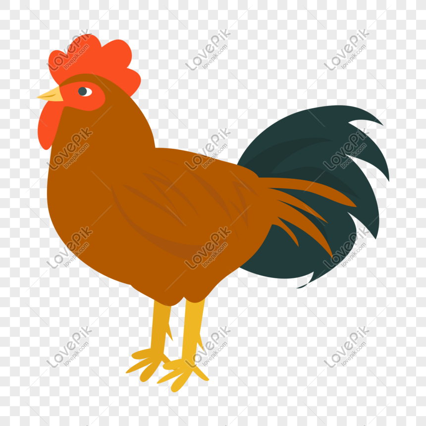Cartoon Vector Flat Cock PNG Transparent Image And Clipart Image For Free  Download - Lovepik | 610393907
