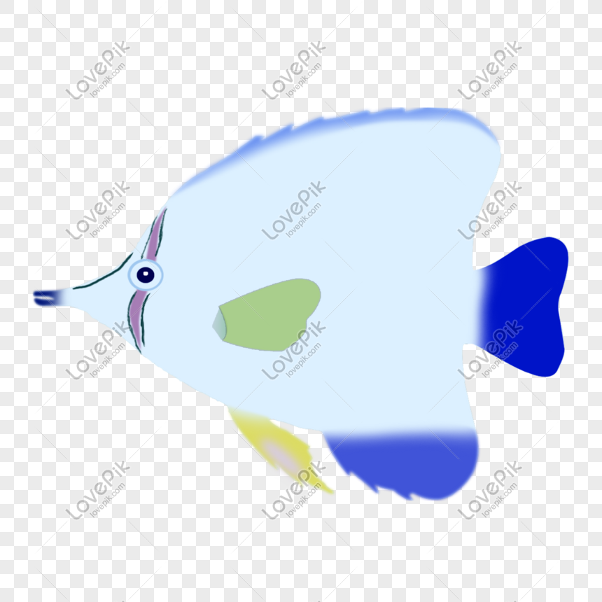 Cartoon Blue Flat Fish, Cartoon Blue Flat Fish, Flat, Cartoon PNG White  Transparent And Clipart Image For Free Download - Lovepik