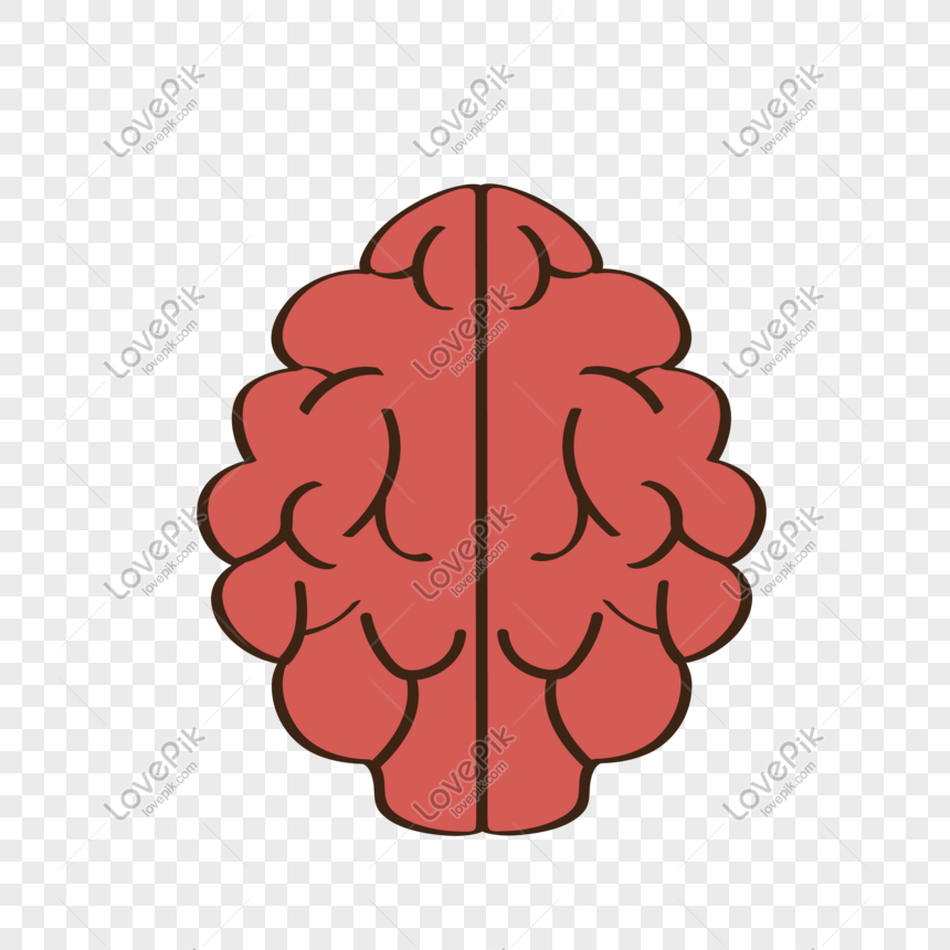 Cartoon Brain PNG Images With Transparent Background | Free Download On  Lovepik