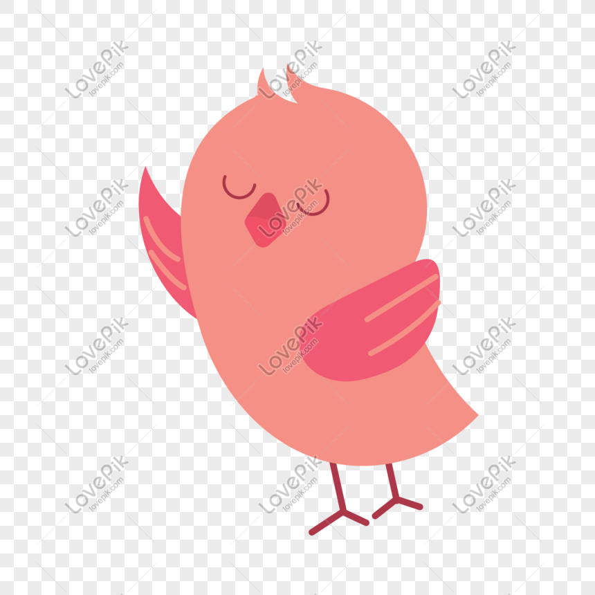Cute Bird PNG Images With Transparent Background | Free Download On Lovepik