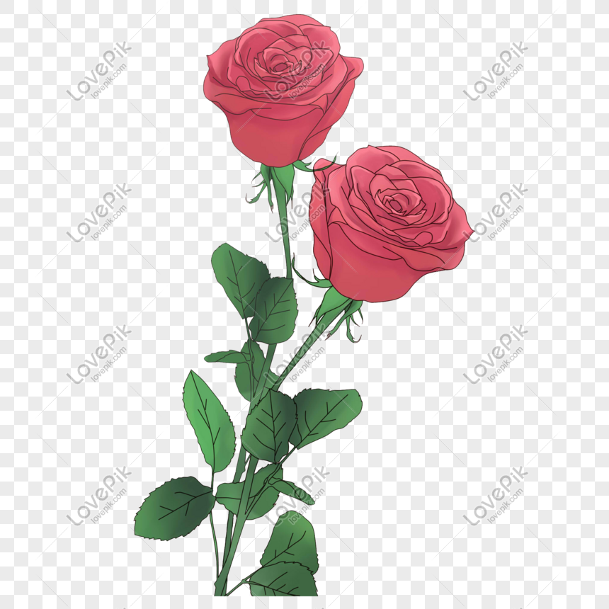 Những hình ảnh Hand Painted Beautiful Rose Elements PNG sẽ chắc chắn khiến bạn sửng sốt trước sức hút đặc biệt của chúng. Những bông hoa hồng được vẽ tay cực kỳ tinh tế và đơn giản là vô cùng đẹp mắt. Đây sẽ là một món quà tuyệt vời cho người thân của bạn. Hãy truy cập ngay để cảm nhận sự độc đáo của tác phẩm!