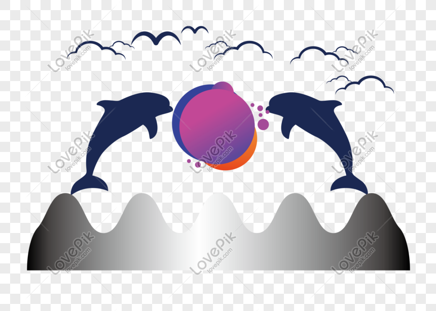 Summer Dolphin Promotions PNG Image u0026 PSD File Free Download 