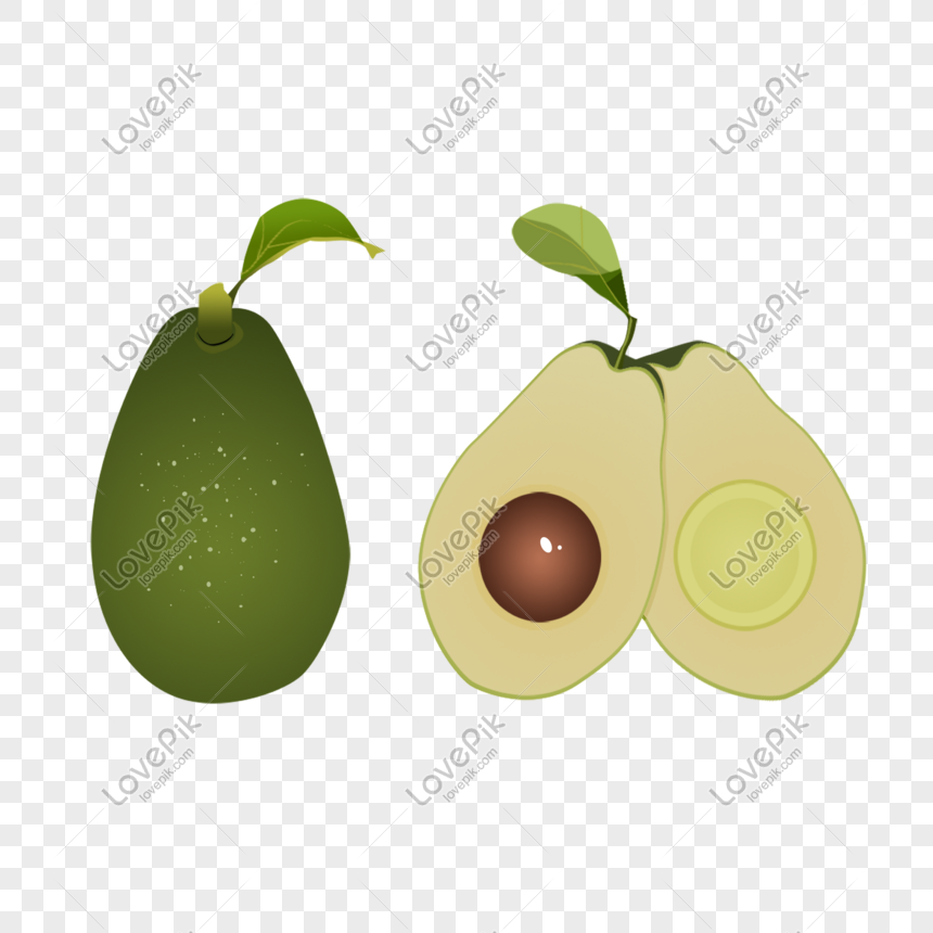 Avocado Cartoon PNG Images With Transparent Background | Free ...