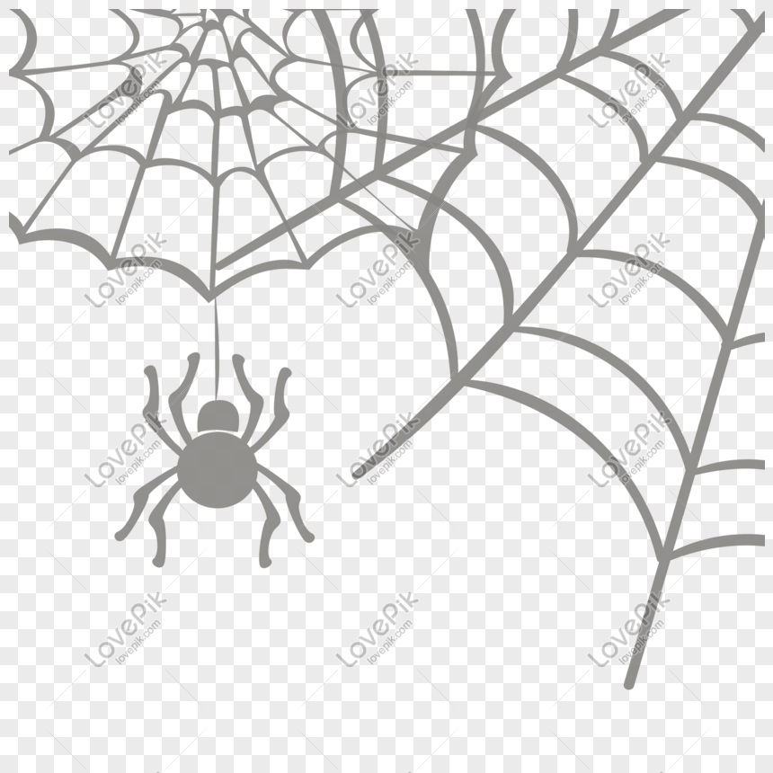 Hand Drawn Cartoon Spider Web Spider Silk Vector Material PNG Image And  Clipart Image For Free Download - Lovepik | 610601928