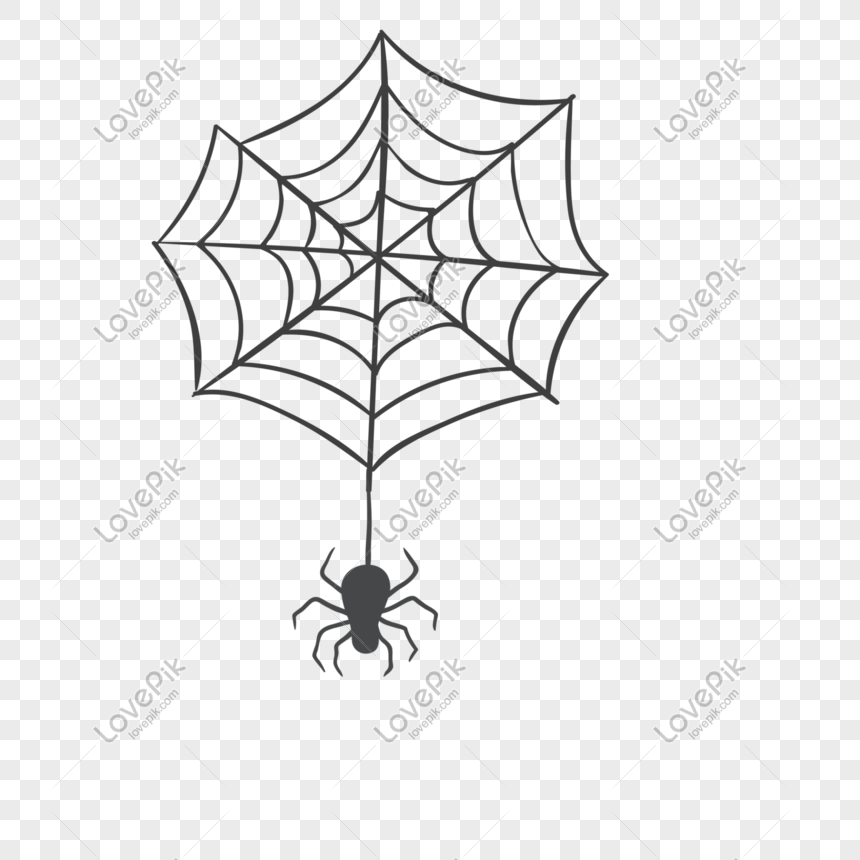 Cartoon Black Spider Web Spider Element PNG White Transparent And Clipart  Image For Free Download - Lovepik | 610601892