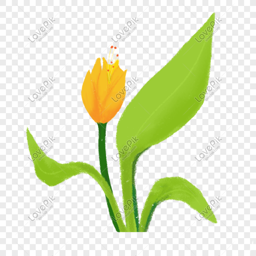 Pintado A Mano Planta Verde Flor Amarilla PNG Imágenes Gratis - Lovepik