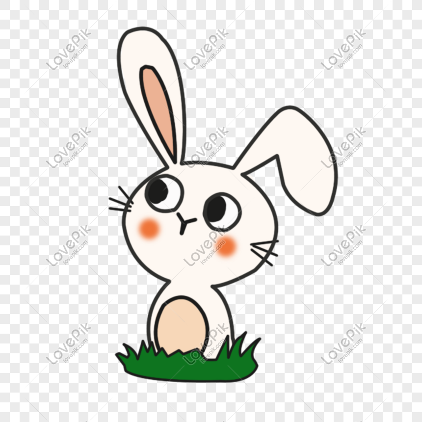 Small Animal Zodiac Bunny Cartoon Rabbit PNG Image And Clipart Image For  Free Download - Lovepik | 610607128