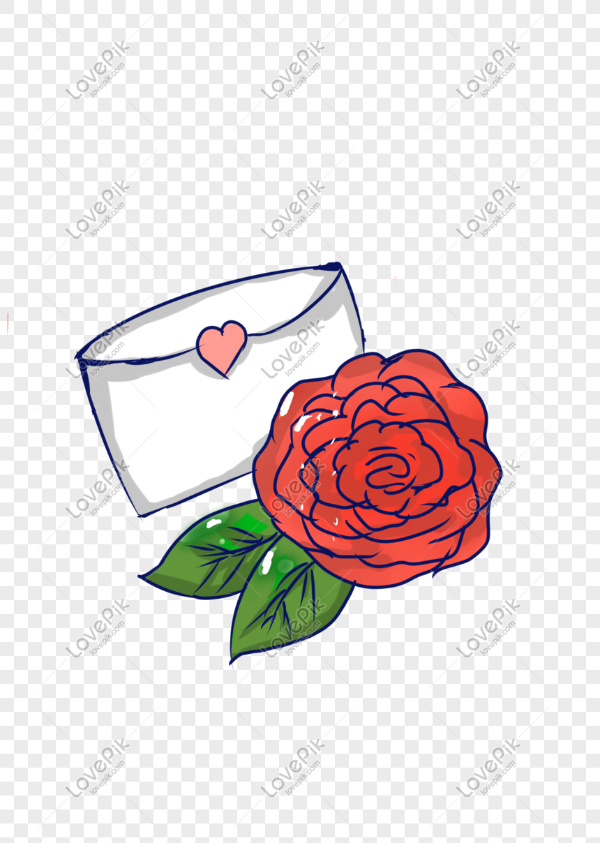 Ilustrasi Bunga Mawar Merah Digambar Tangan Png Grafik Gambar