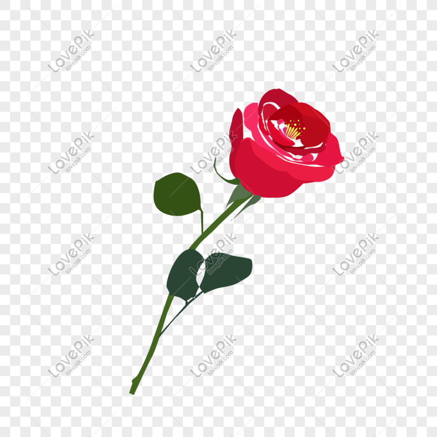 Hình ảnh hoa hồng PNG: Hình ảnh hoa hồng luôn được yêu thích bởi vẻ đẹp quyến rũ và mang trong mình thông điệp tình yêu lãng mạn. Nếu bạn đang cần tìm kiếm hình ảnh hoa hồng đẹp để làm hình nền cho điện thoại hay thêm vào thiết kế của mình, hãy đến xem ngay bộ sưu tập hình ảnh hoa hồng PNG quyến rũ tại đây.