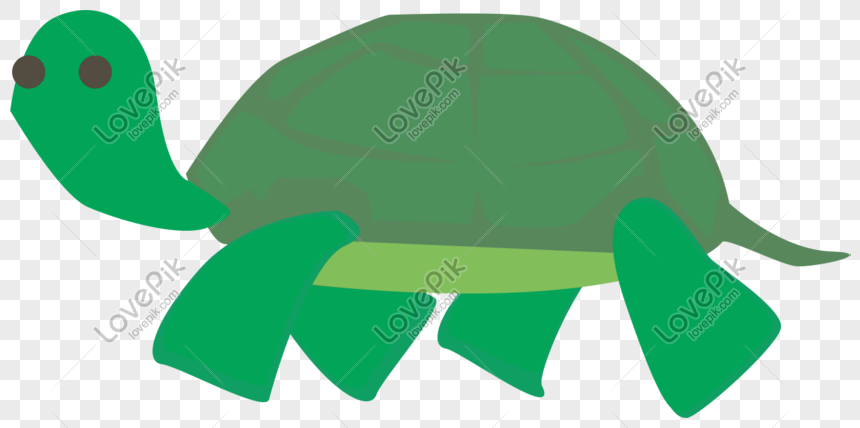 Hand Painted Turtle Png Free Buckle Material PNG Picture And Clipart ...