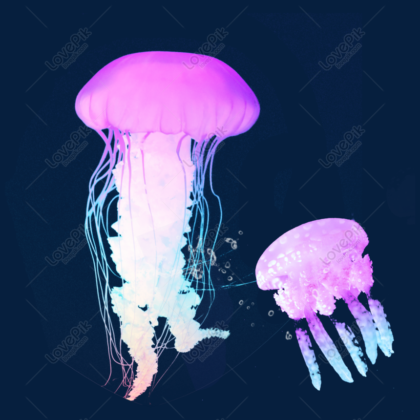 Marine Plankton Colored Jellyfish Element Png Image Picture Free Download 610630912 Lovepik Com