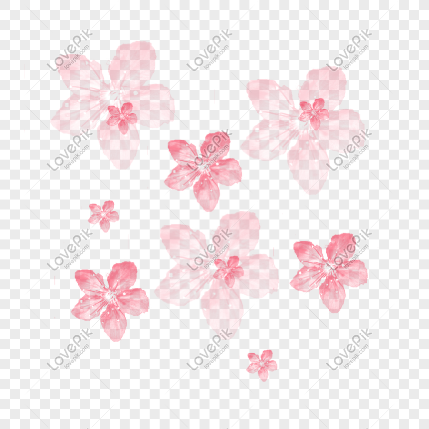 Elementos Frescos Hermosos De La Flor De La Flor De Cerezo PNG Imágenes  Gratis - Lovepik