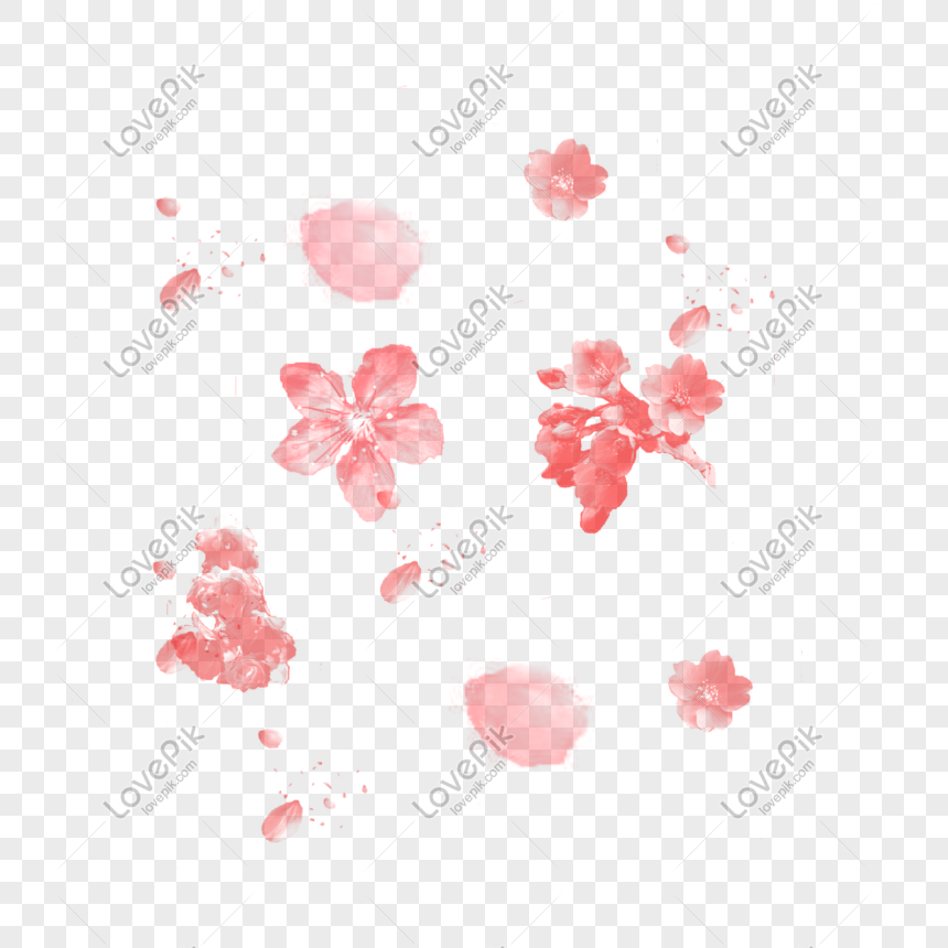 Cherry Blossom Petals PNG Images With Transparent Background ...