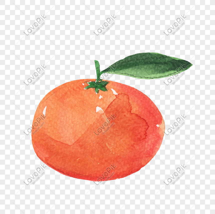 Khám phá ngay vẻ đẹp tuyệt vời của quả cam - một loại trái cây giàu dinh dưỡng, bổ sung vitamin c và chất xơ cùng với hương vị ngọt thanh thơm. Hãy thưởng thức vẻ đẹp và hương thơm của quả cam ngay bây giờ.
