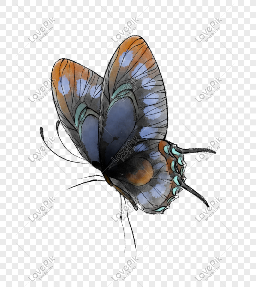 Vẽ tay con bướm là một hoạt động giúp phát triển khả năng vẽ và cũng giúp cho tâm trí được thư giãn. Với những nét vẽ tinh tế và khéo léo, mỗi chiếc bướm sẽ mang đến một màu sắc và hình dáng độc đáo. Hãy thử thách bản thân và tạo ra một bức tranh bướm tuyệt đẹp với đôi bàn tay tài hoa của mình.