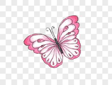Cartoon Butterfly PNG Images With Transparent Background | Free Download On  Lovepik