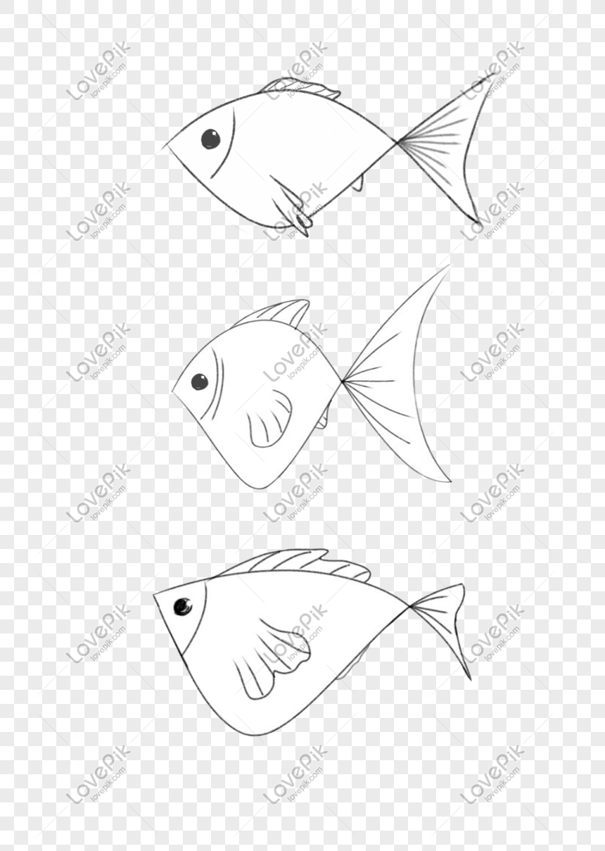 การตกแต่งที่เรียบง่ายสีดำและสีขาวลวดลายน่ารักปลาเส้น Png  สำหรับการดาวน์โหลดฟรี - Lovepik