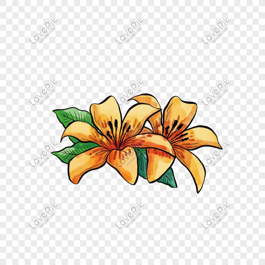 Yellow Hand Painted Lily Free Download PNG Image Free Download And ...