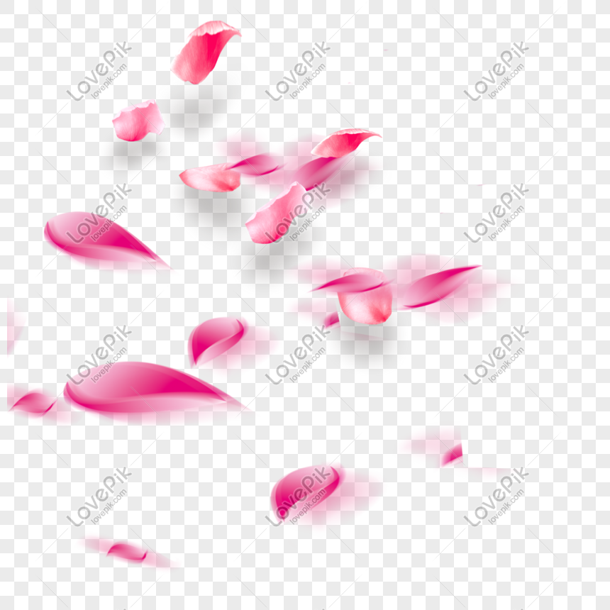 Pink Petal PNG Transparent Images Free Download, Vector Files