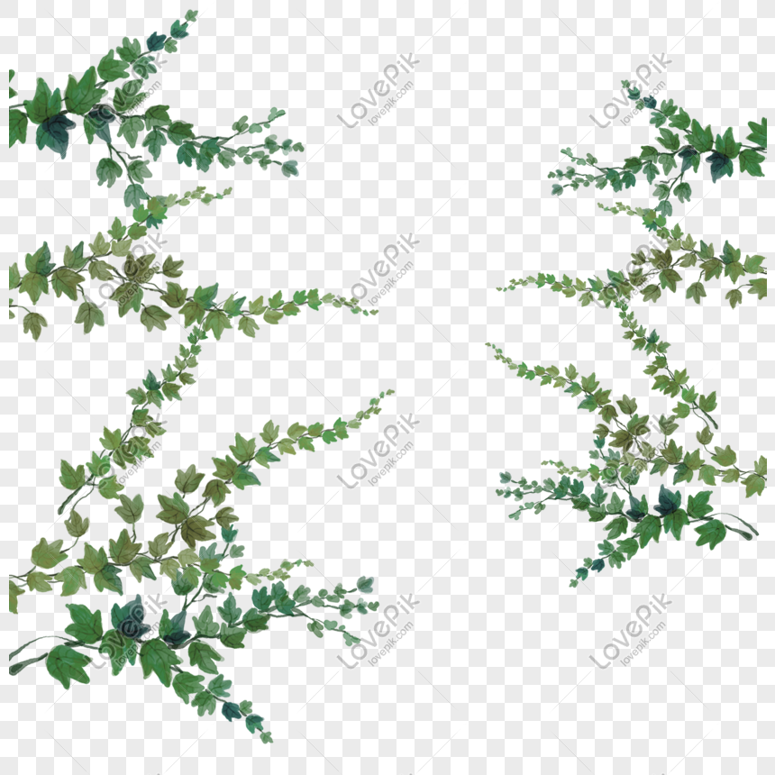 Creeper PNG Images Transparent Free Download