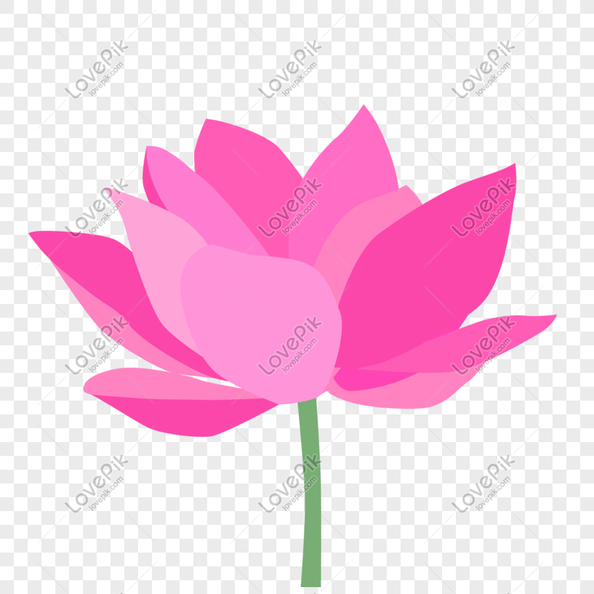 Cartoon Lotus Images, HD Pictures For Free Vectors Download 
