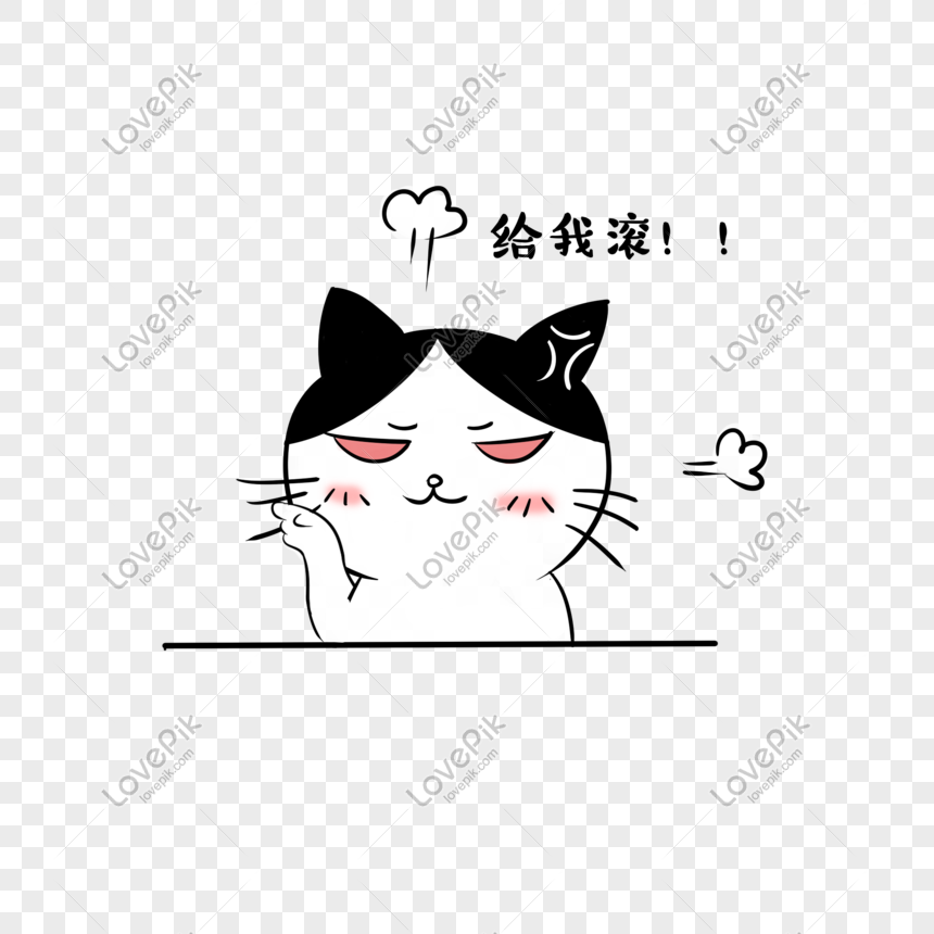 Angry Cute Cat Illustration, Illustration Paint, Cute Characters, Angry Cat  PNG Transparent Clipart Image and PSD File for Free Download