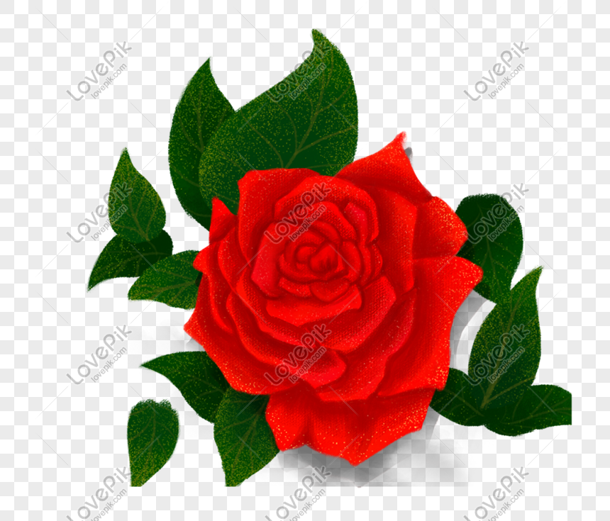 Bông hồng là một trong những loài hoa đẹp và quyến rũ nhất trên thế giới. Hình vẽ bông hồng chắc chắn sẽ khiến bạn cảm thấy ngạc nhiên về sự tinh tế và độ chi tiết của nó.