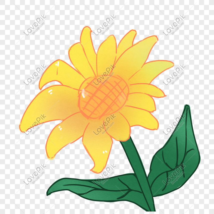 Ang Bulaklak Na Bulaklak Ng Sunflower Ng Tag Init Ay Iginuhit Ng Larawan Numero Ng Graphics Format Ng Larawan Psd Ph Lovepik Com