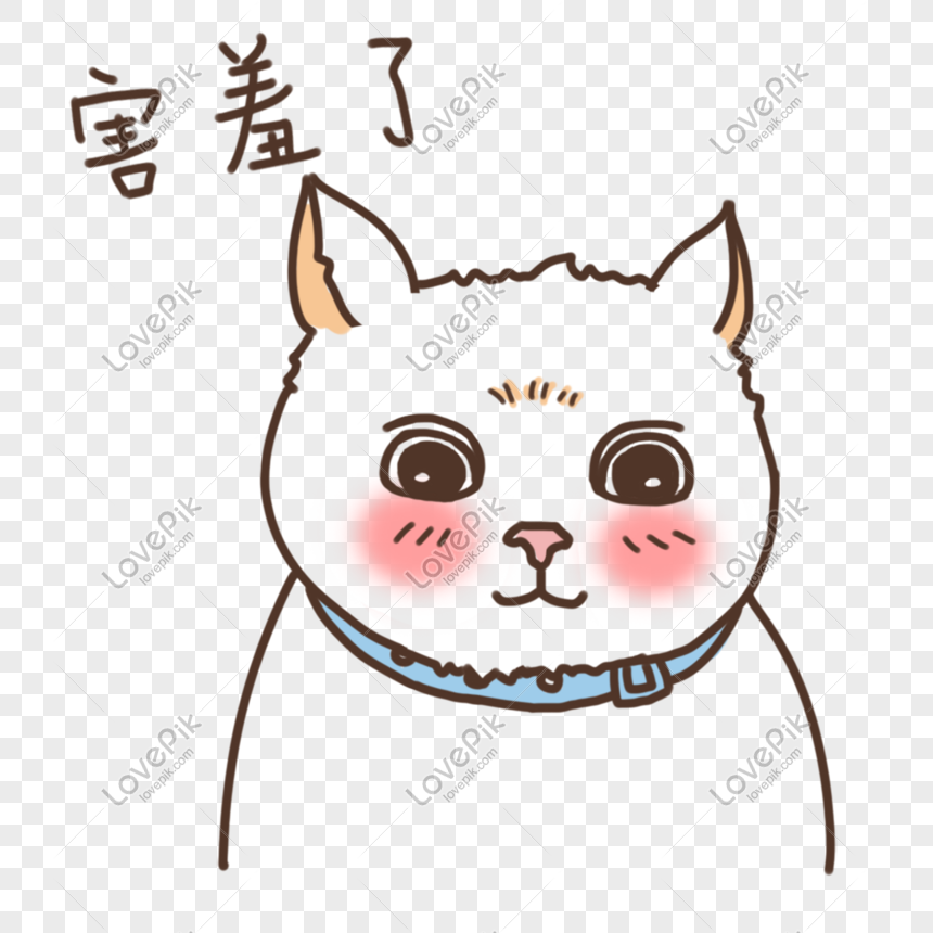 Expression Shy Kitten Illustration PNG Hd Transparent Image And Clipart  Image For Free Download - Lovepik | 610803254